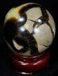 Beautiful Polished Septarian Sphere #32017-1